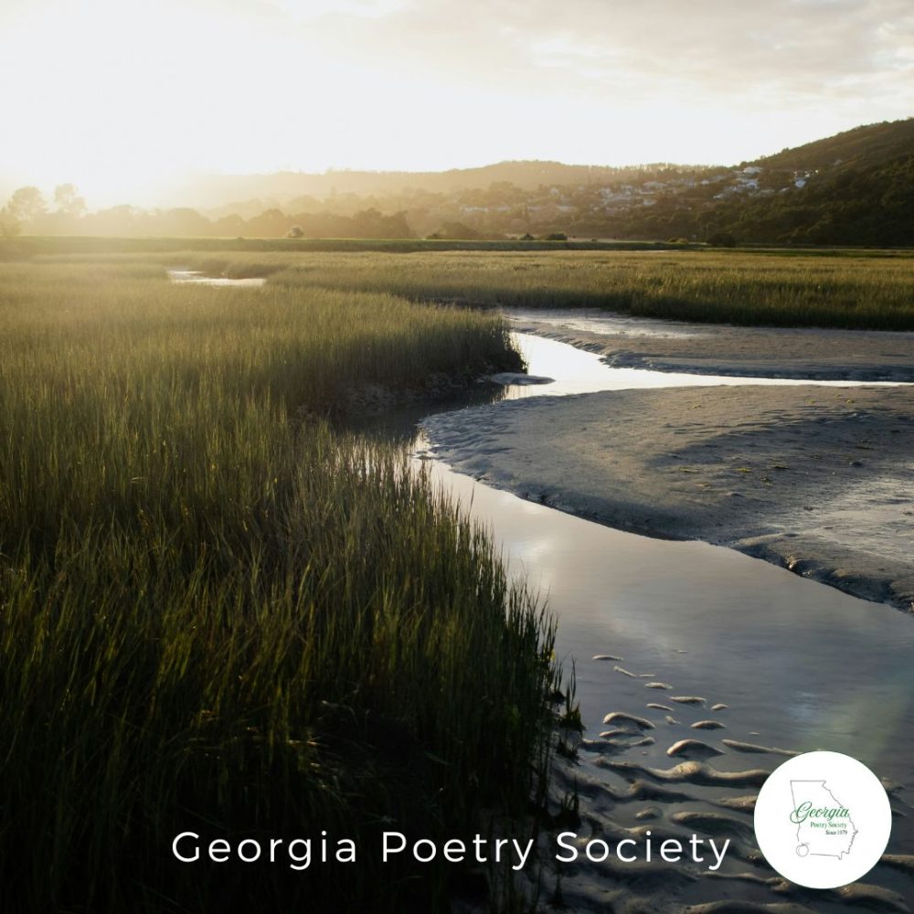 Georgia coastal marsh at golden hour with an open poetry notebook, representing Georgia poetry